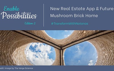 Knowing your neighbours’ political views before buying your next property?